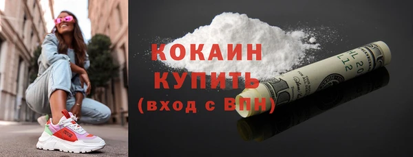 мет Гатчина