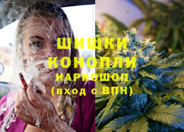 дживик Алексеевка