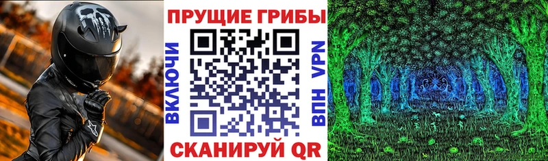 сайты даркнета как зайти  OMG ССЫЛКА  Галлюциногенные грибы Cubensis  Ковылкино  наркотики 